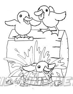 The Enchanted Forest Coloring Book Pages Sheets - The Twelve Wild Ducks