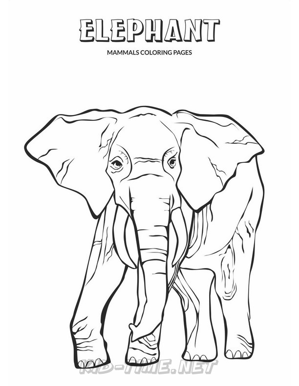 elephant-coloring-pages-199 – Kids Time Fun Places to Visit and Free