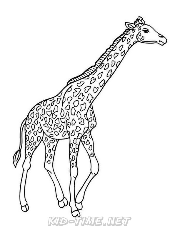 Giraffe-Coloring-Pages-161 – Kids Time Fun Places To Visit And Free