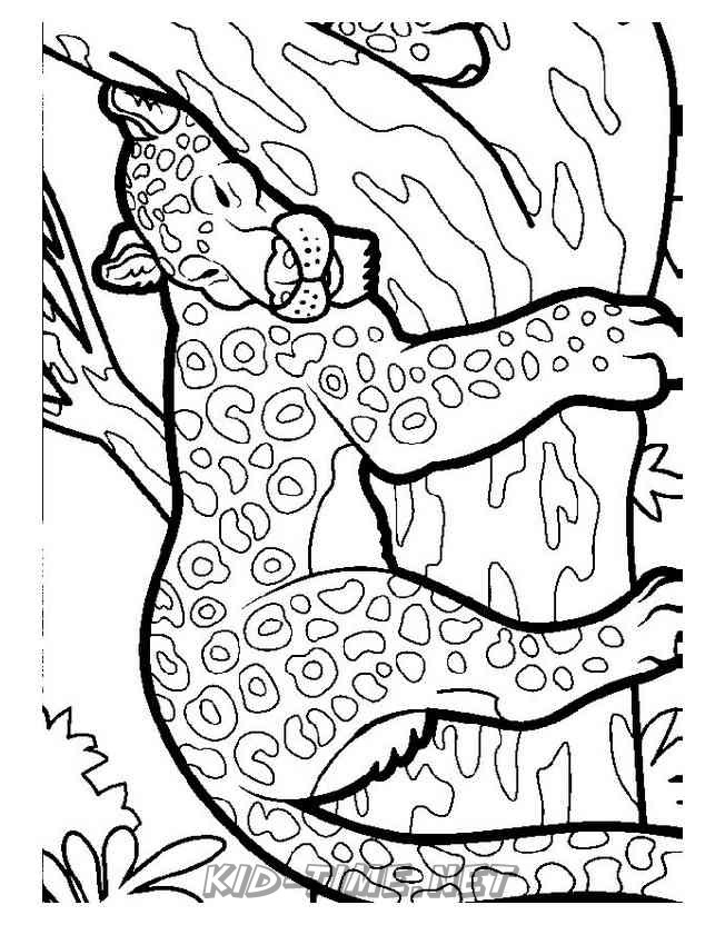leopard-animals-coloring-book-page-sheet-007 – Kids Time Fun Places to