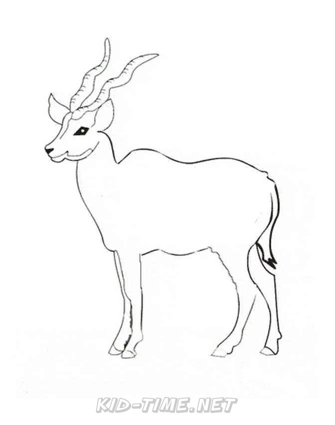 Oryx Animals Coloring Book Pages Sheets Kids Time Fun Places To 