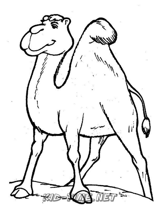 camelcoloringpages084 – Kids Time Fun Places to Visit and Free