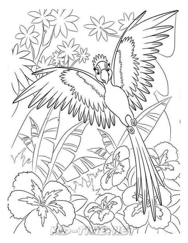 Download Rio Coloring Pages Sheets - Kids Time Fun Places to Visit and Free Coloring Book Pages Printables