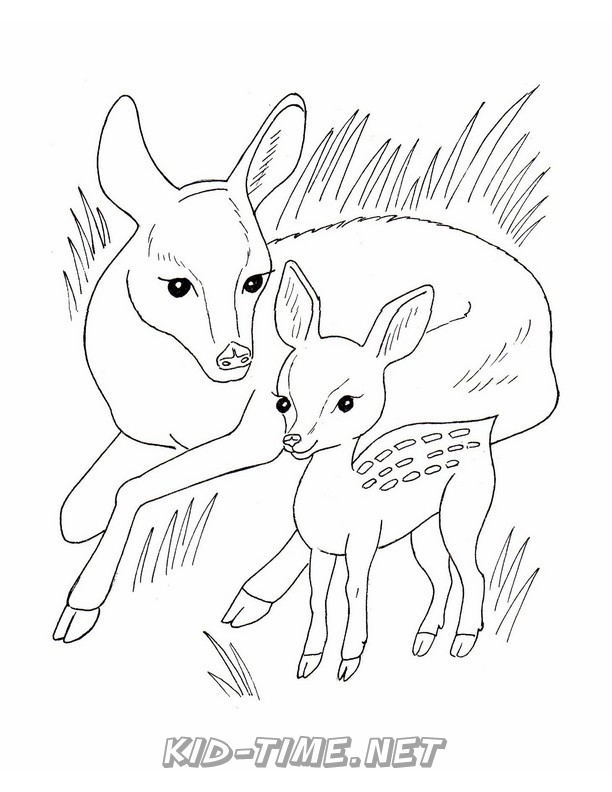 deer-family-coloring-pages-015 – Kids Time Fun Places to Visit and Free
