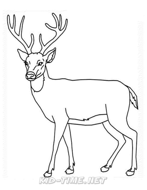 deer-coloring-pages-030 – Kids Time Fun Places to Visit and Free