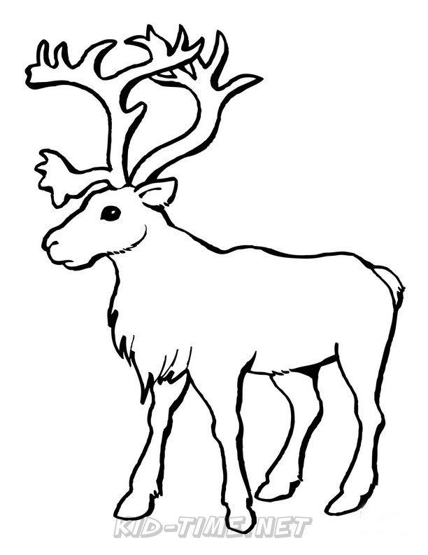 reindeer-caribou-coloring-pages-013 – Kids Time Fun Places to Visit and