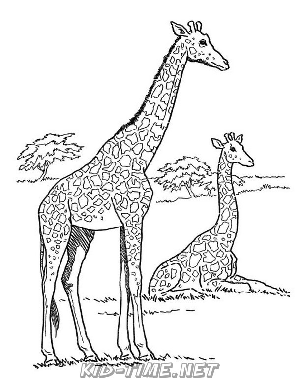 Download Baby Giraffe - Animals Coloring Book Pages Sheets - Kids ...