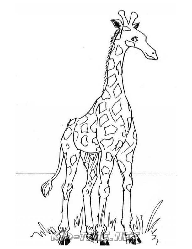 Giraffe-Coloring-Pages-188 – Kids Time Fun Places To Visit And Free