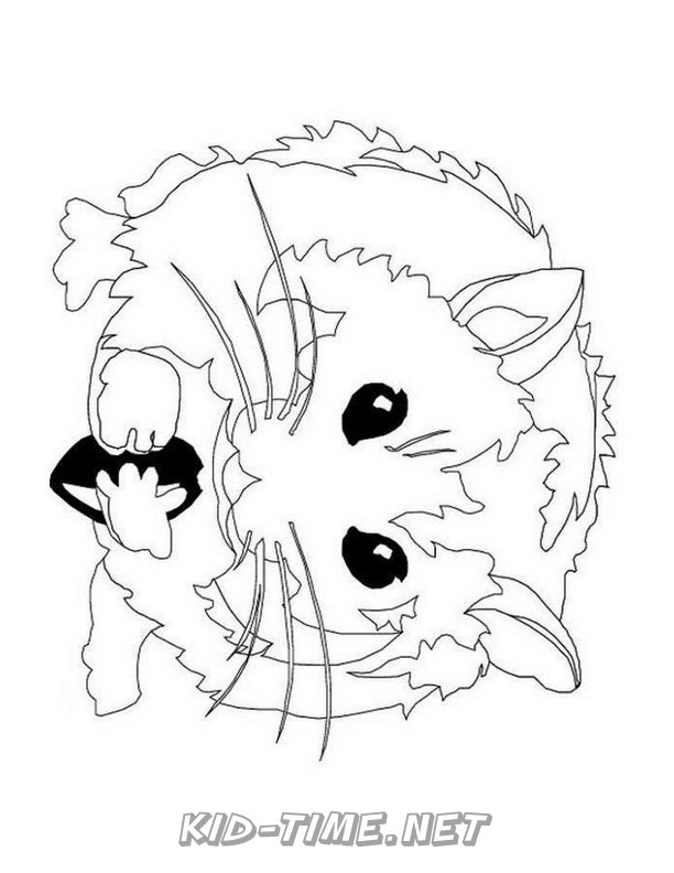 hamster-coloring-pages-016 – Kids Time Fun Places to Visit and Free