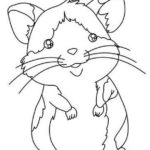 Download Hamster - Animals Coloring Book Pages Sheets - Kids Time Fun Places to Visit and Free Coloring ...