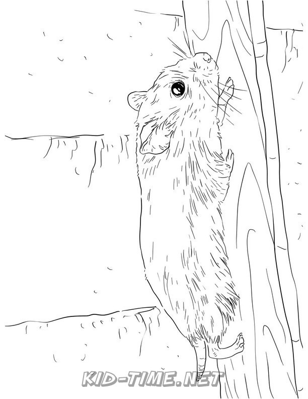 hamster-coloring-pages-043 – Kids Time Fun Places to Visit and Free
