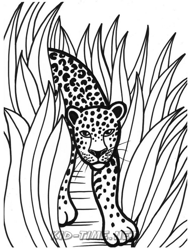 Download jaguar-coloring-pages-031 - Kids Time Fun Places to Visit ...