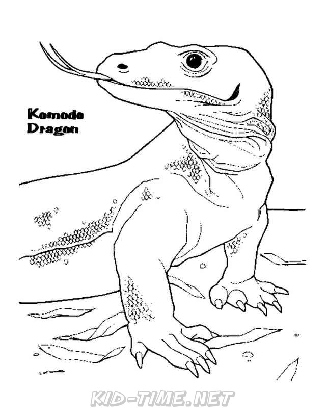 Komodo Coloring Page Coloring Pages