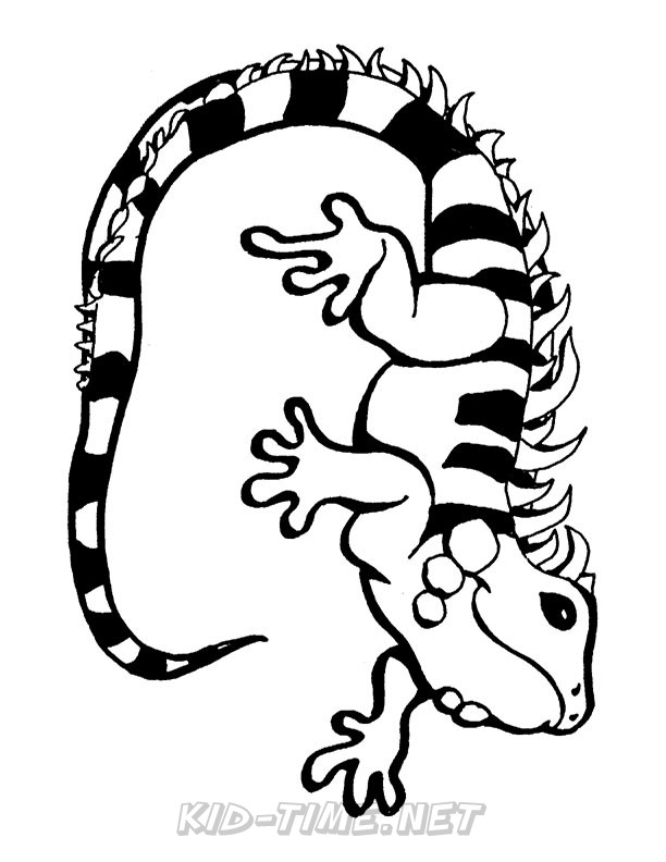 lizard-iguana-animals-coloring-book-page-sheet-12 – Kids Time Fun ...