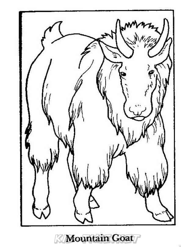 mountain-goat-animals-coloring-book-page-sheet-001 – Kids Time Fun