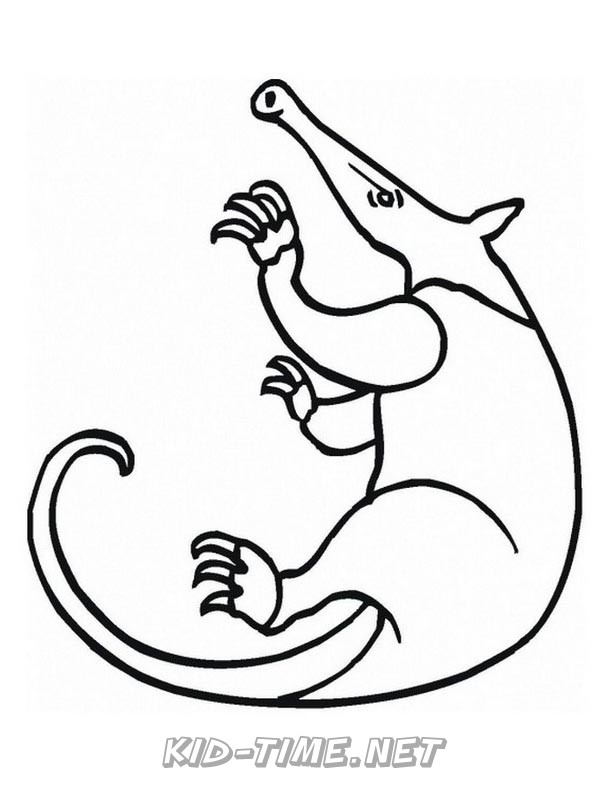 aardvark-coloring-pages-004 – Kids Time Fun Places to Visit and Free