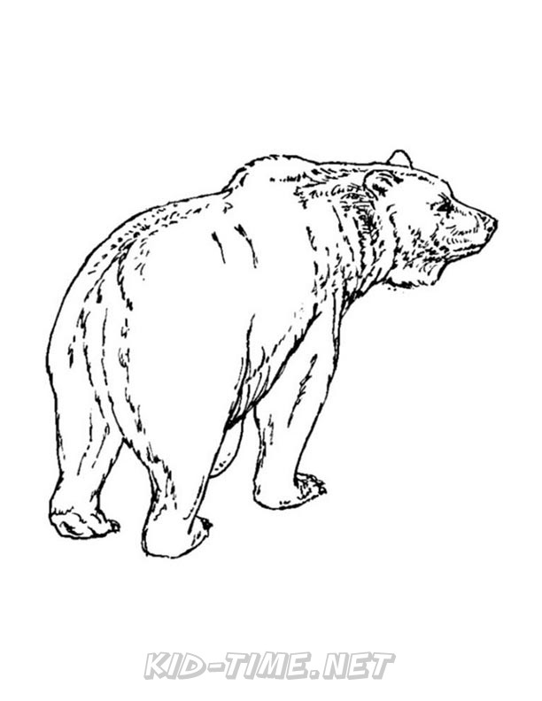 grizzly-coloring-pages-2011 – Kids Time Fun Places to Visit and Free