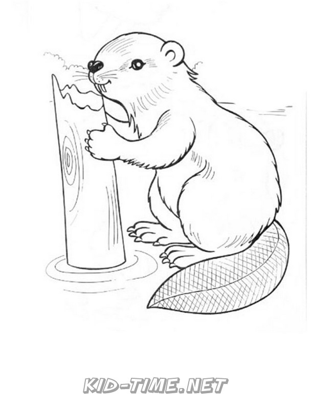 beaver-coloring-pages-030 – Kids Time Fun Places to Visit and Free ...