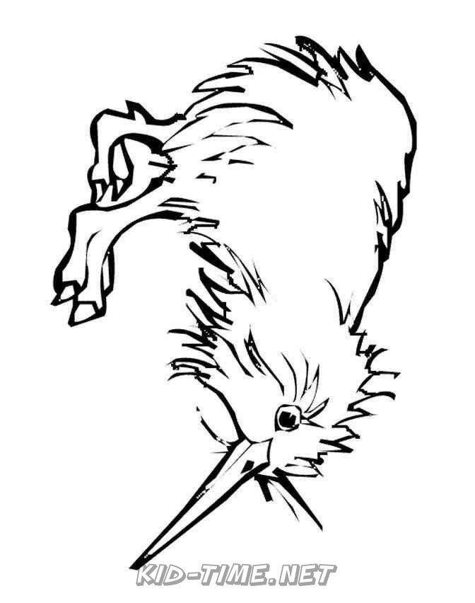 Download 237+ Birds Kiwi Coloring Pages PNG PDF File - Download 237