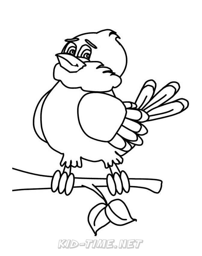 Download Birds Sparrows - Sparrow Animals Coloring Book Pages Sheet ...
