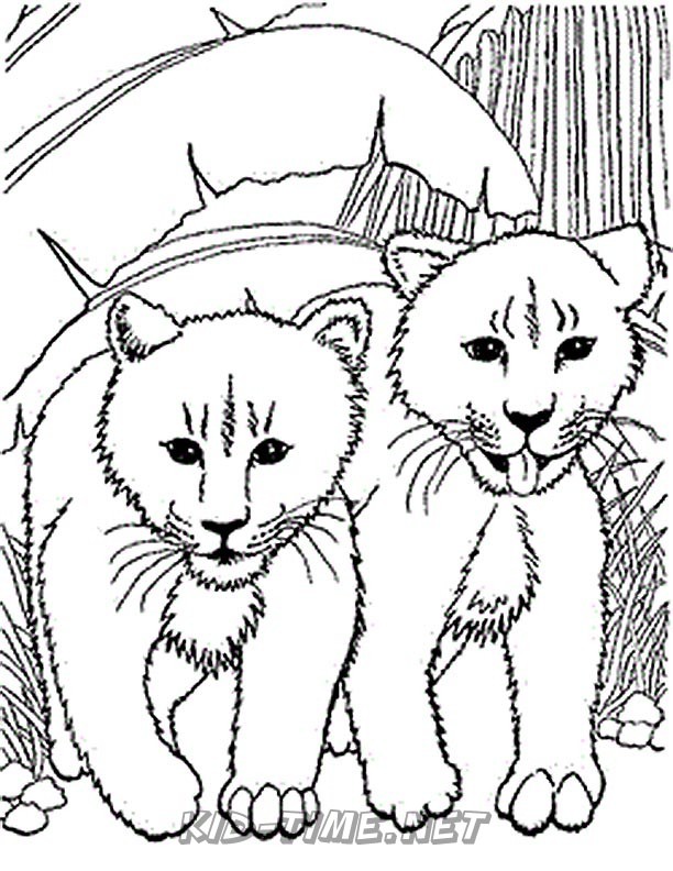 Download bobcat-coloring-pages-01 - Kids Time Fun Places to Visit ...