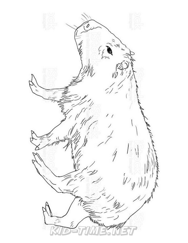 capybara-coloring-pages-001 – Kids Time Fun Places to Visit and Free
