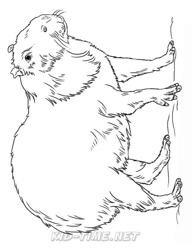 capybara-coloring-pages-009 – Kids Time Fun Places to Visit and Free