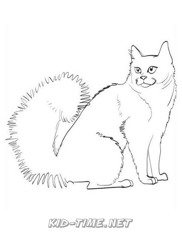 Cats Colorpoint Shorthair – Animals Coloring Book Pages Sheets – Kids