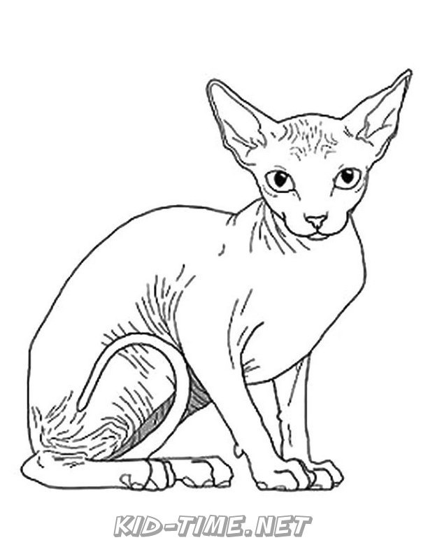 Cats Sphynx – Animals Coloring Book Pages Sheets – Kids Time Fun Places